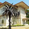 Abdülmecid Efendi’nin ‘Büyülü Bahçe’si