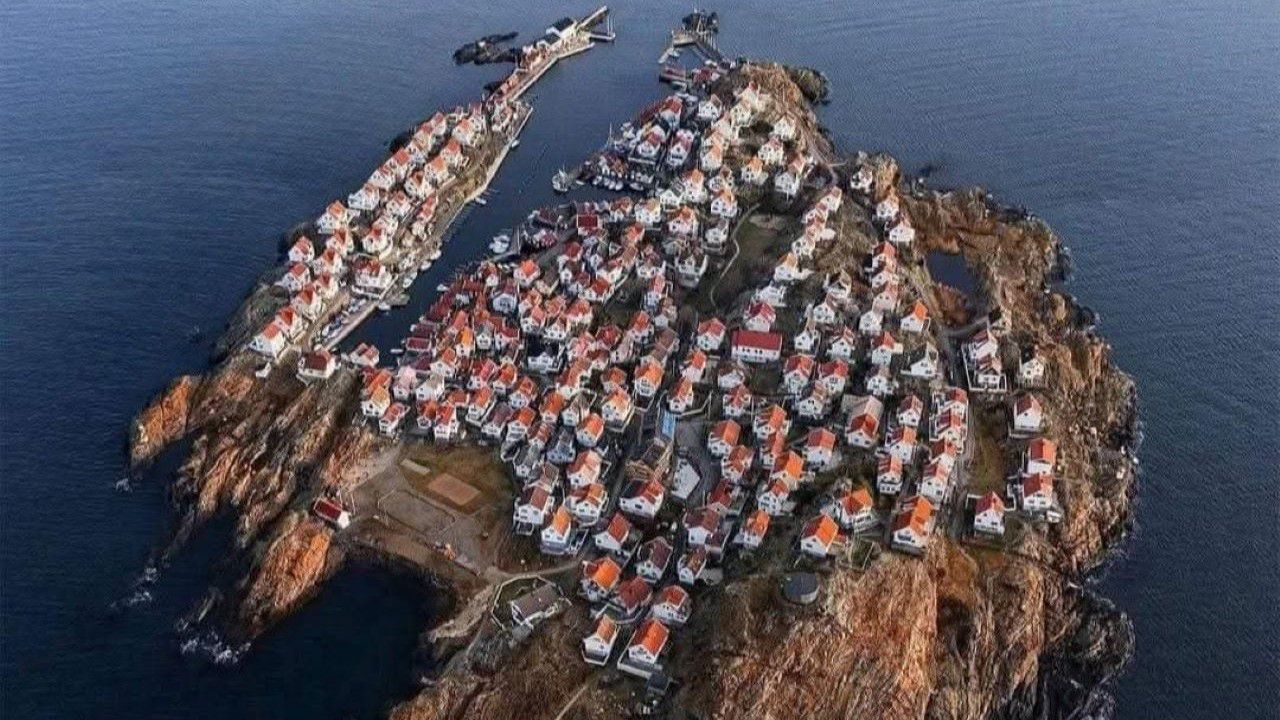 Baltık Denizi’nin bilge sultanı