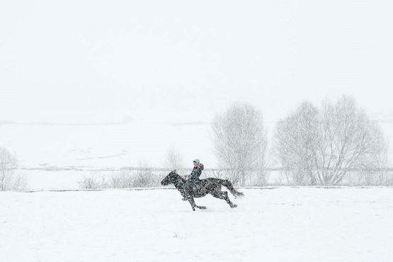 Karlar altındaki sessizlik