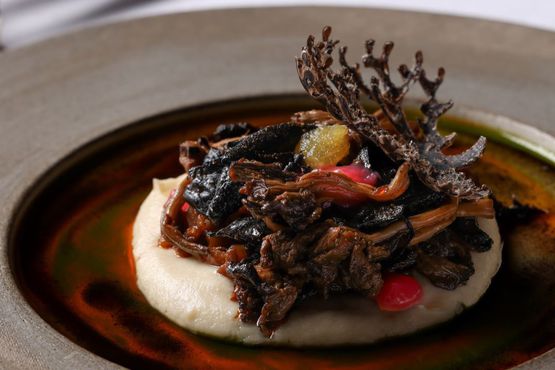 Yaşam bahçesinde döngüsel yolculuk