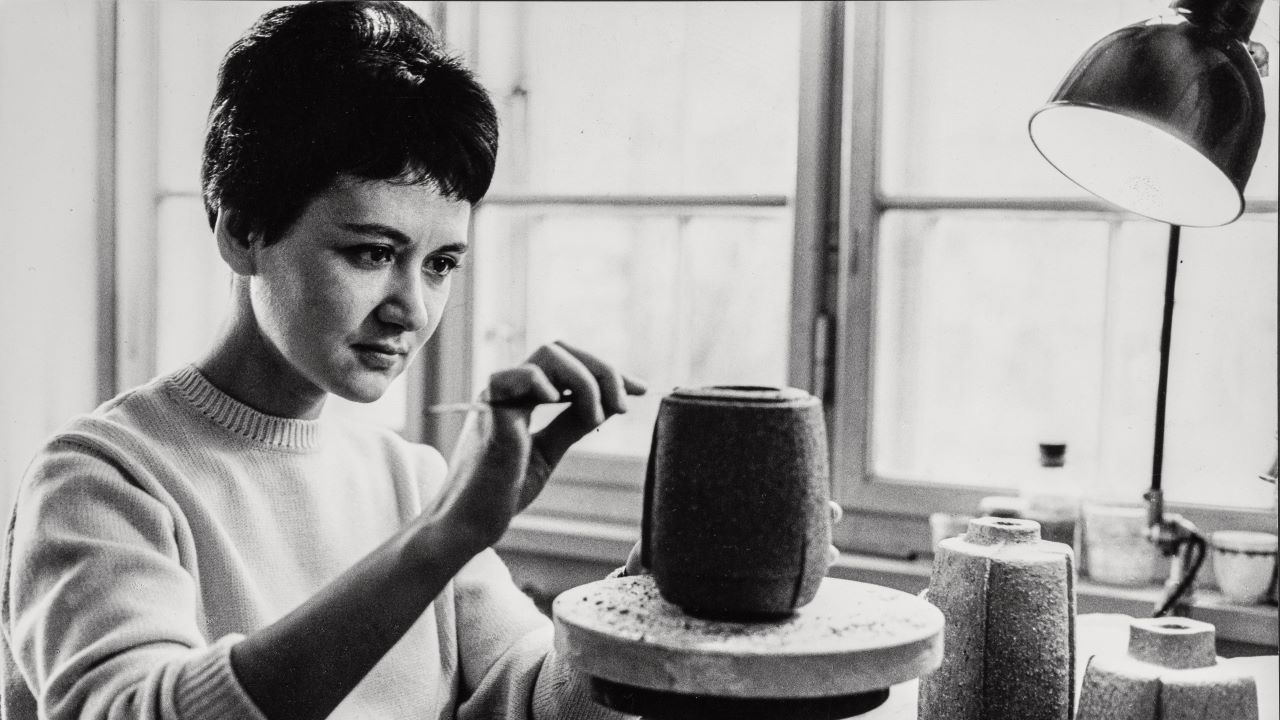 Denizkestanesinin gözünden dünya