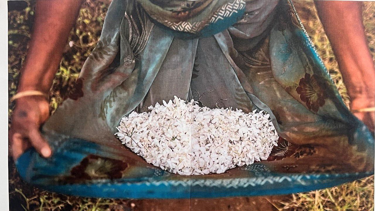 Kokunun dilini konuşmak