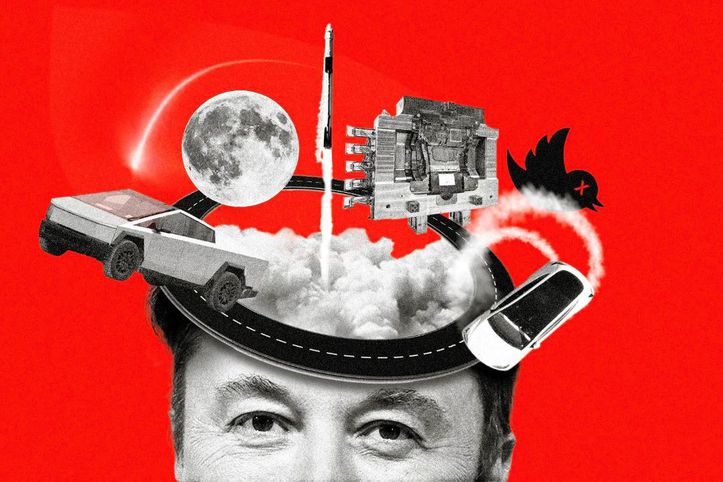 Musk'sız bir dünya nasıl olurdu?