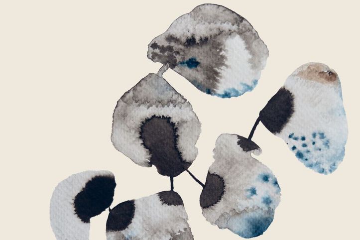 İRAN’DAN BİR KİTAP: ‘Kadınlar Koğuşu, Tatlıcılar Kulübü’